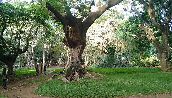 Cubbon Park provides serenity away from the crowded areas of Bengaluru