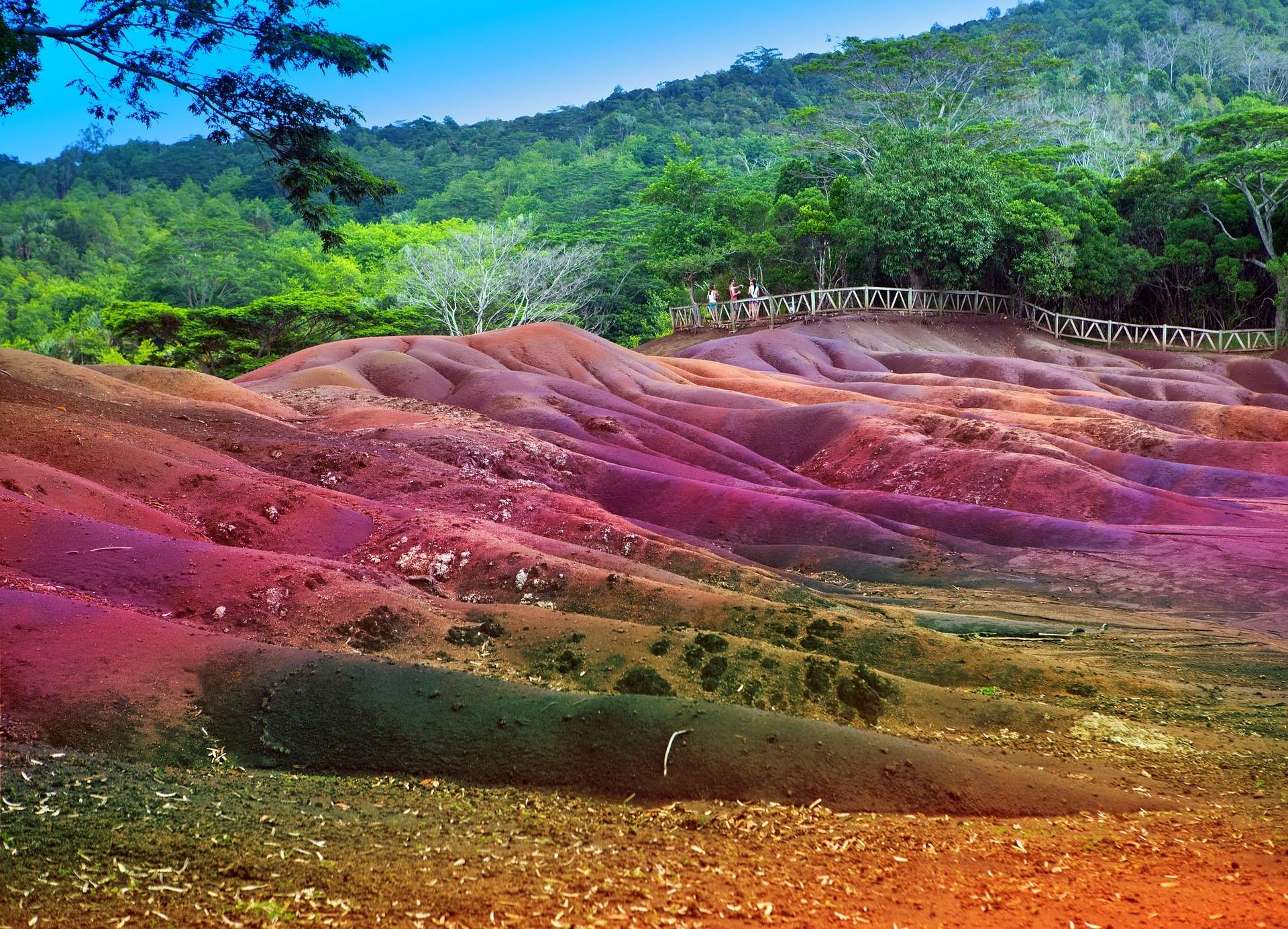 People are looking at the Seven coloured earth of Chamarel