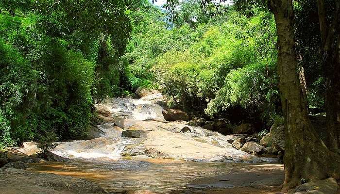 Doi Suthep-Pui National Park is among popular tourist hotspots.