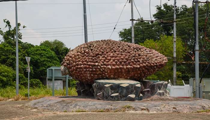 Explore the Durian Roundabout near the Phnom Chhngok Cave Temple