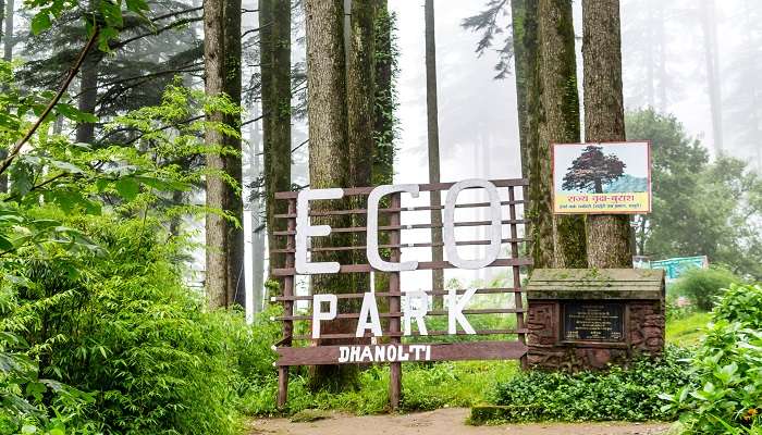 The enchanting greenery at the Eco Park in Dhanaulti. 