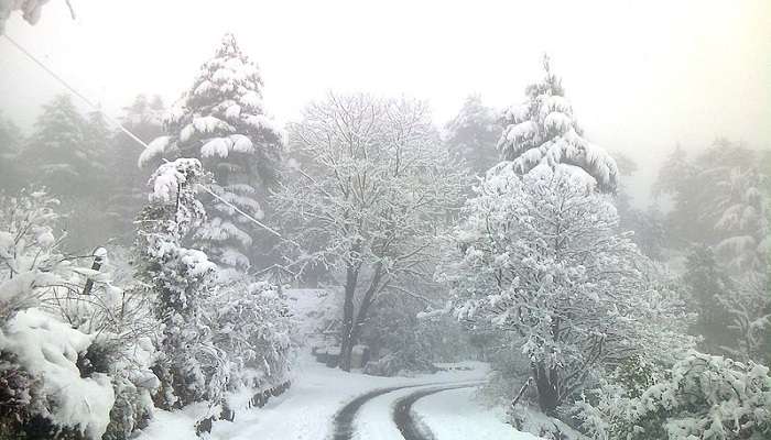 Experience snowfall in Kanatal and make your trip an unforgettable one.