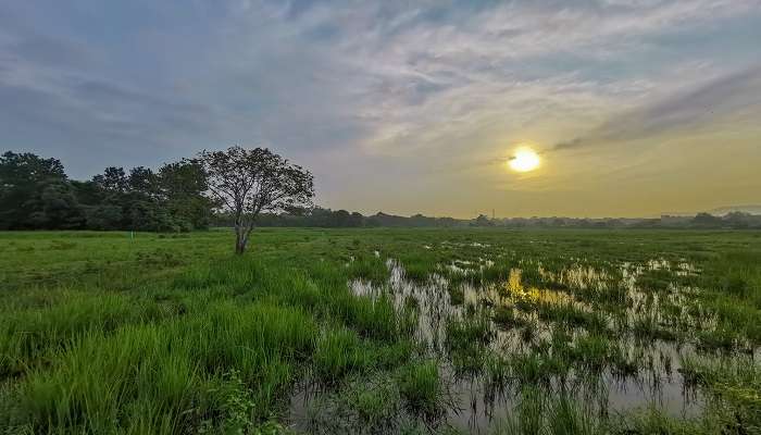  Rice Fields at Santikhiri Village, Doi Mae Salong at sunrise. 