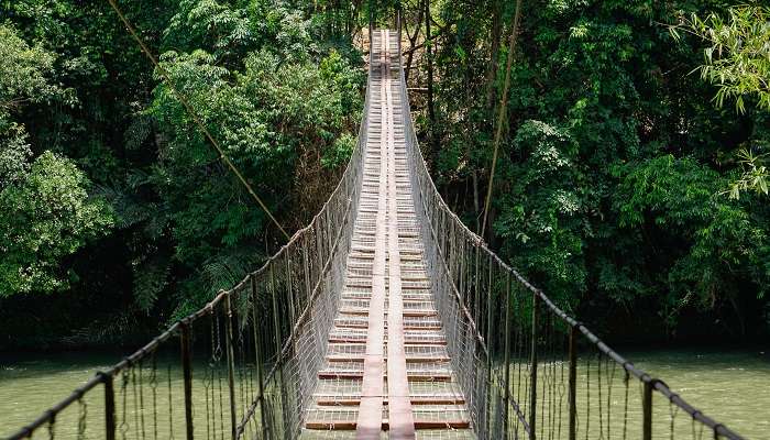 Picturesque photo of the Kothmale Hanging Bridge