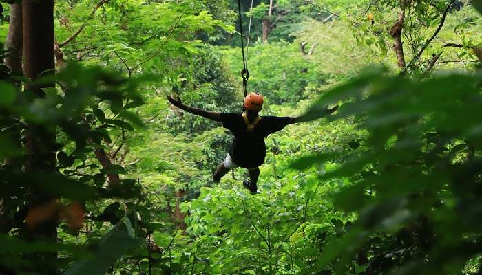 Uncover the aerial view of Phuket with a ziplining experience. 