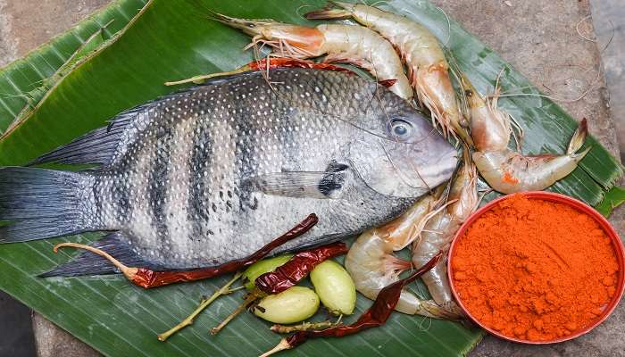 Pearl Spot Fish is used in many local delicacies in Thevara, Kerala