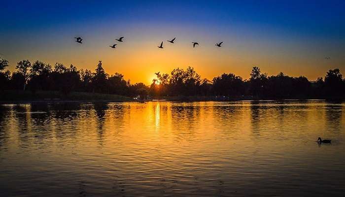  Birds flying above the Fort lake near Kittur Fort