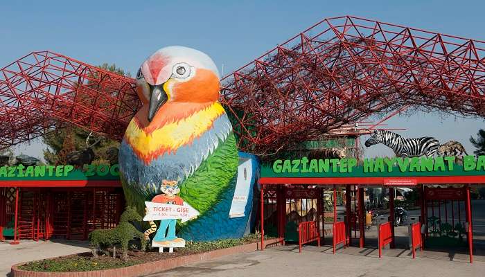  Spend the day exploring the Gaziantep Zoo, one of the key points of Gaziantep Tourism