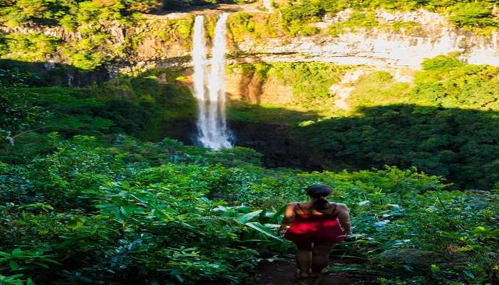  Woman hiking to the Chamarel Waterfall viewpoint in the jungle in Mauritius. 