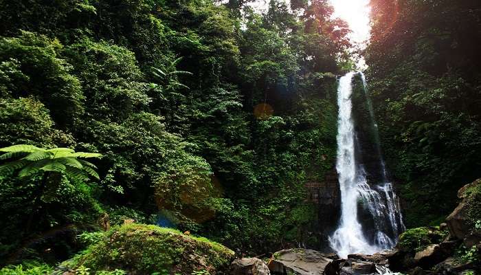 Beautiful scenery of Gitgit waterfall hidden in the tropical forest near Pura Maduwe Karang