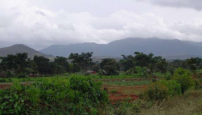 A Picture Of Gopalswami Hills, Karnataka