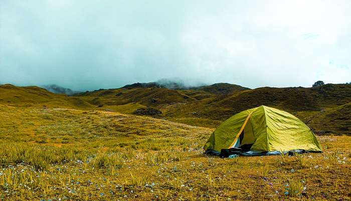 Enjoy camping at Gorson Bugyal and create an unforgettable memory.