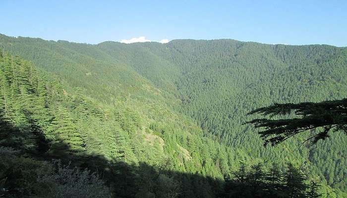The lush Green Valley in Shimla