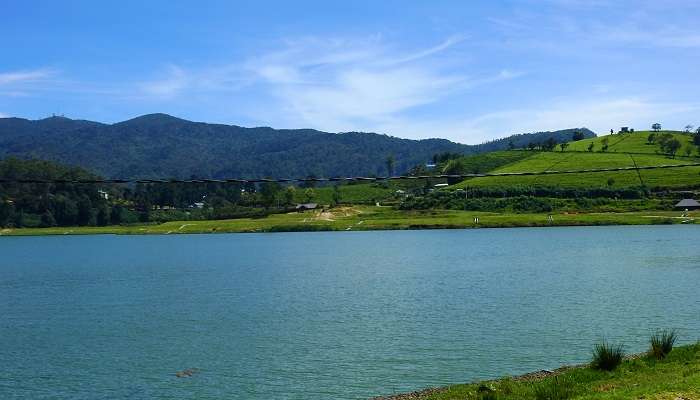 Beautiful view of the Gregory Lake in Nuwara Eliya