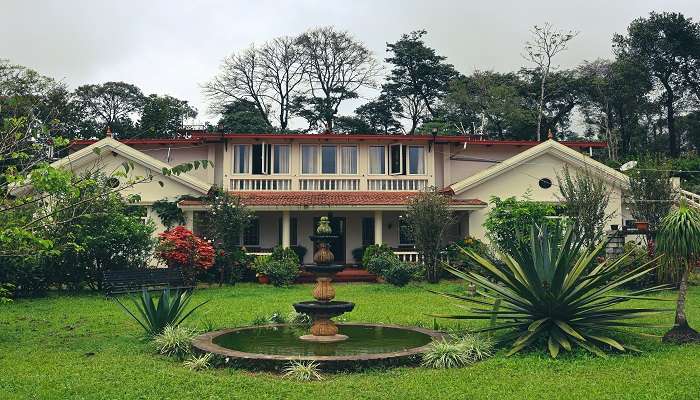 Outside view of the homestay covered with lush greenery.