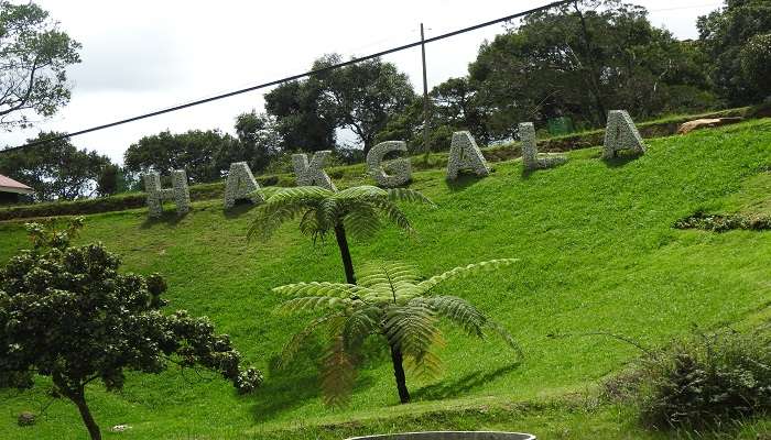 Majestic Hakgala Botanical Garden 