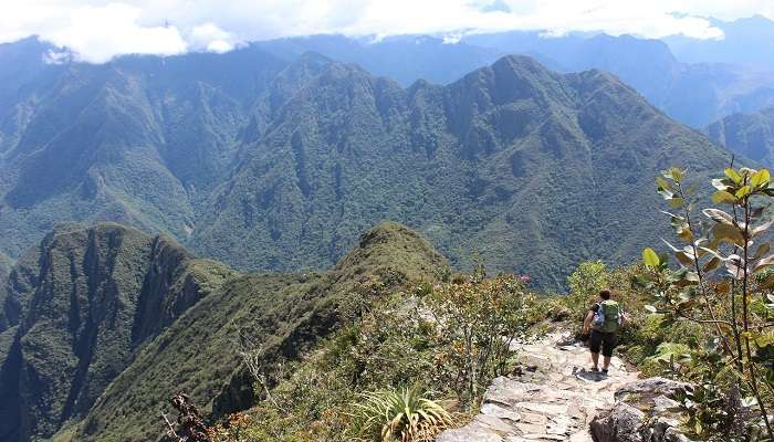 Hiking trails on Yung Island are best for exploring lush landscapes. 