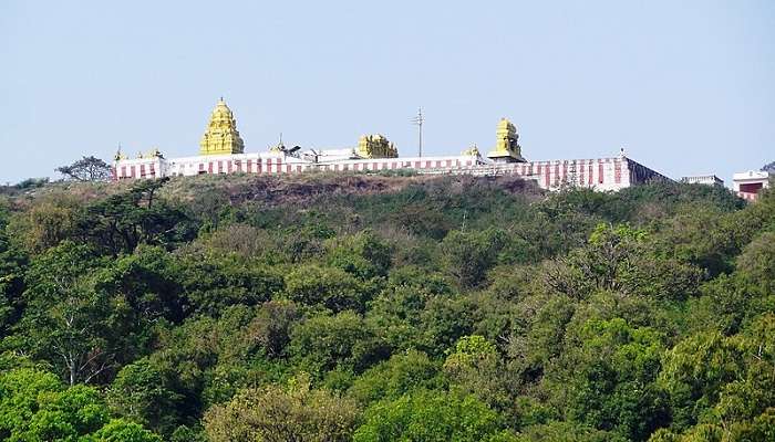 A Picture Of Gopalswami Temple