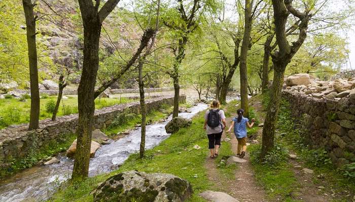 Harwan Garden is the starting point for the Mahadev Mountain Trek.