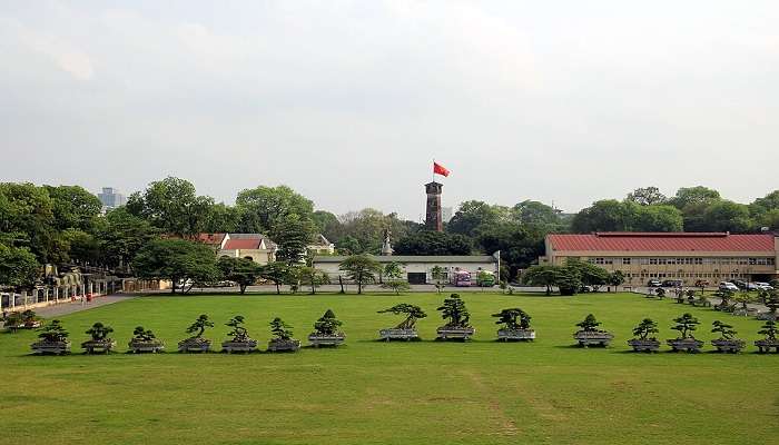 View of bonsai plantation on the premises of Imperial Citadel of Thang Long