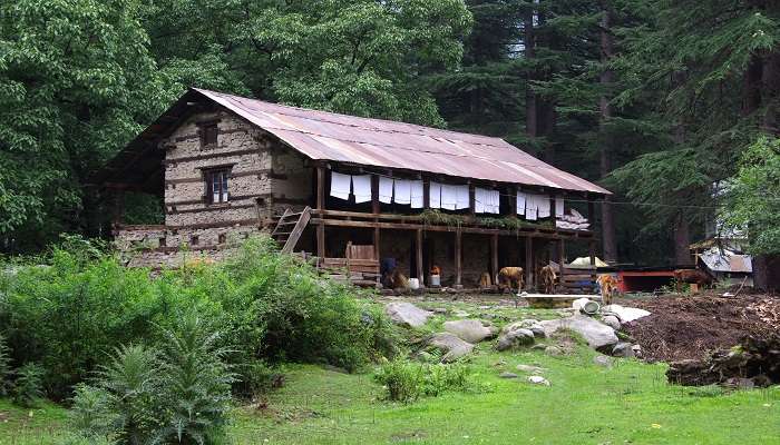You can find some of the most comfortable homestays in Naggar with beautiful views.