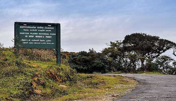 Hortons National Park near Lipton’s Seat Sri Lanka