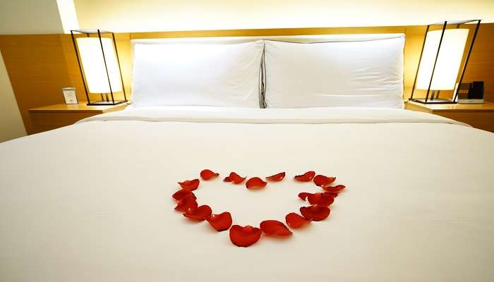 Deluxe rooms at the Hotel Raja Vihar for a comfortable stay.