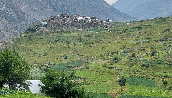 Lush fields and hills in Shoja