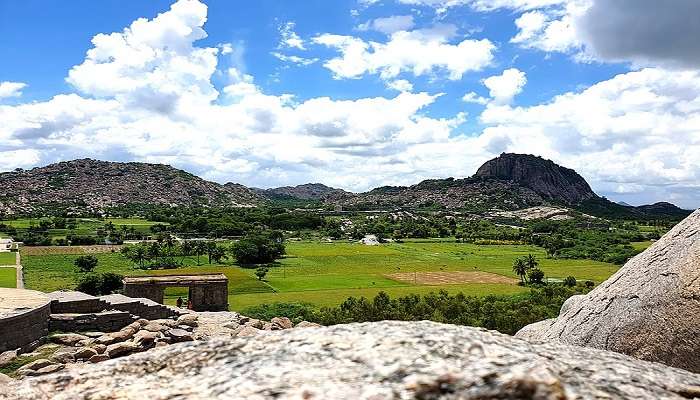 The Gingee Fort and its garden