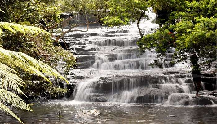 Ways to reach Vattakanal Waterfalls