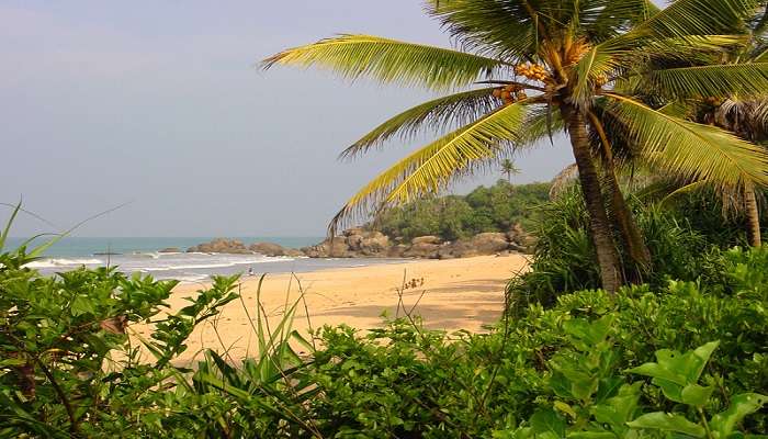 Induruwa, C’est l’une des meilleures plages du Sri Lanka
