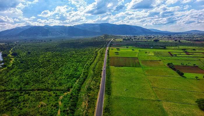 Grass Lands at Gopal Swami Betta