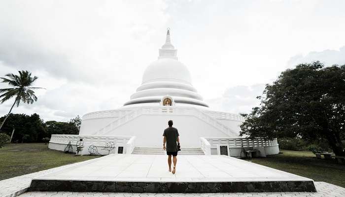 Man walking In The Pathway to the Peace Pagoda in England