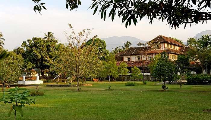 See martial arts and dance at the Kadathanadan Kalari Centre