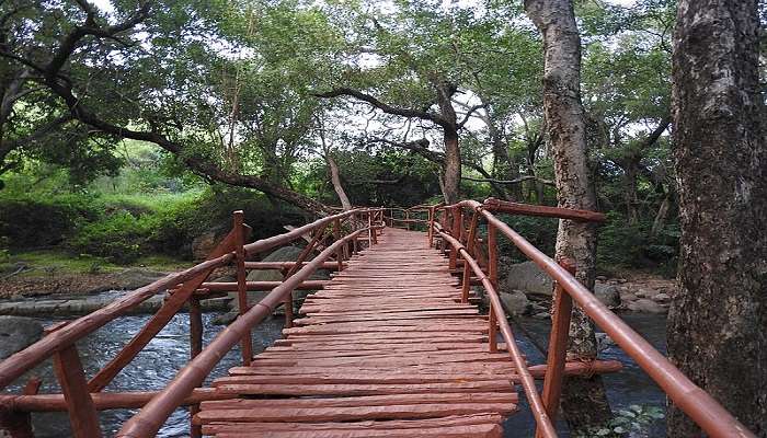 Wooden bridge at Kalakkad Wildlife Sanctuary