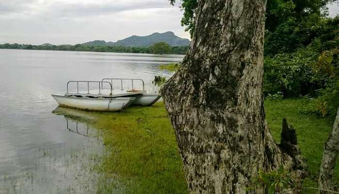 Kandalama, Meilleurs endroits pour une lune de miel au Sri Lanka