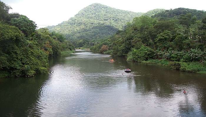 A pristine view of Kelani River