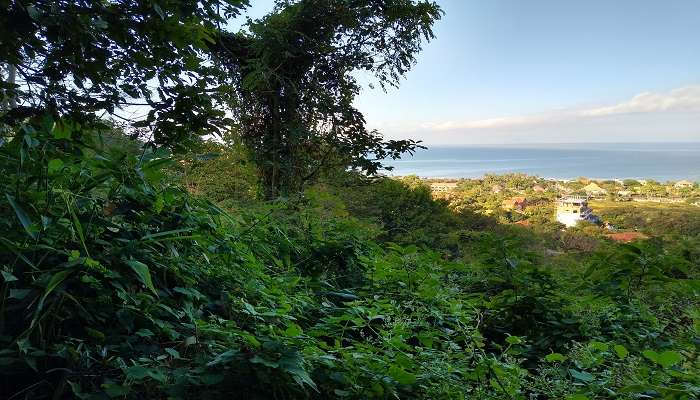  Sopt wildlife at the Kep National Park near the Phnom Chhngok Cave