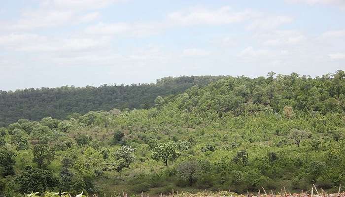 The view of Eturnagaram Wildlife Sanctuary