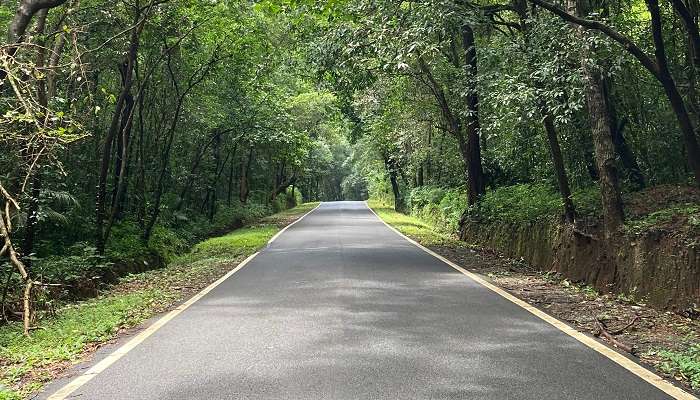  Puttur Road in Dakshina Kannada District