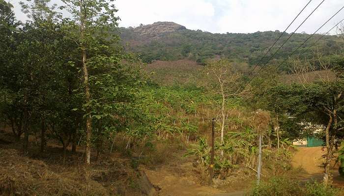 Breathtaking view of the Kurisumala in Kumily