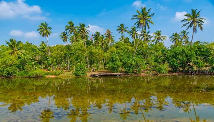 Tour Rekawa Beach Sri Lanka through its fascinating lagoons