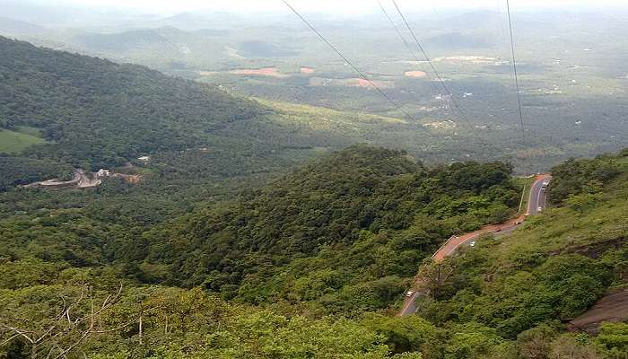 Picturesque view of lush green forests from Lakkidi viewpoint located near Puliyarmala Jain Temple