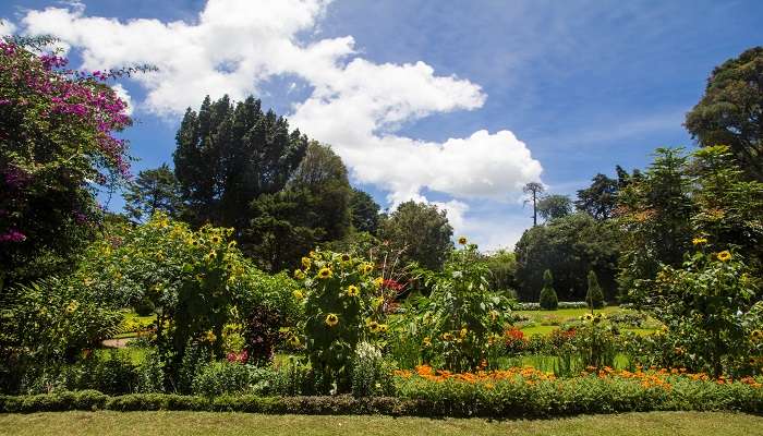 Le parc victoria, C’est l’une des meilleurs endroits à visiter à Nuwara Eliya