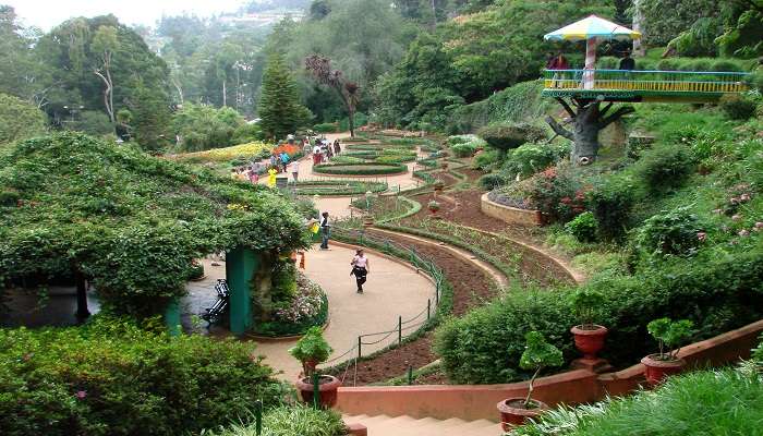 Adjacent to the Wayanad Heritage Museum is a beautifully curated, well-maintained Botanical Garden.