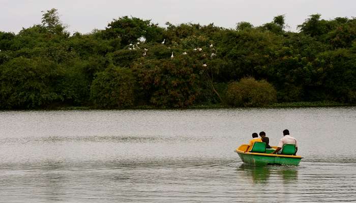 Boating at Madiwala Lake