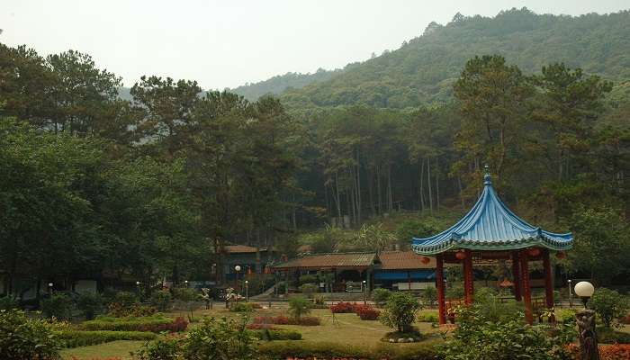  Serene resort garden at Doi Mae Salong village
