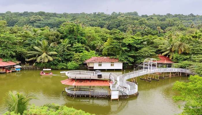 Scenic view of mango meadows and lush greenery near the Vaikom temple Kerala 
