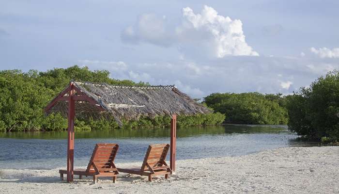 Mangrove Beach Cabana