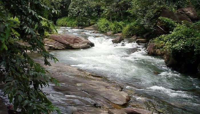 Meenachil River flowing 